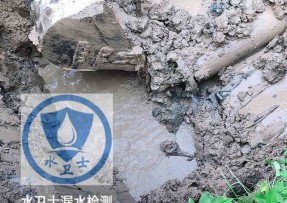 坡头区水管漏水检测公司5